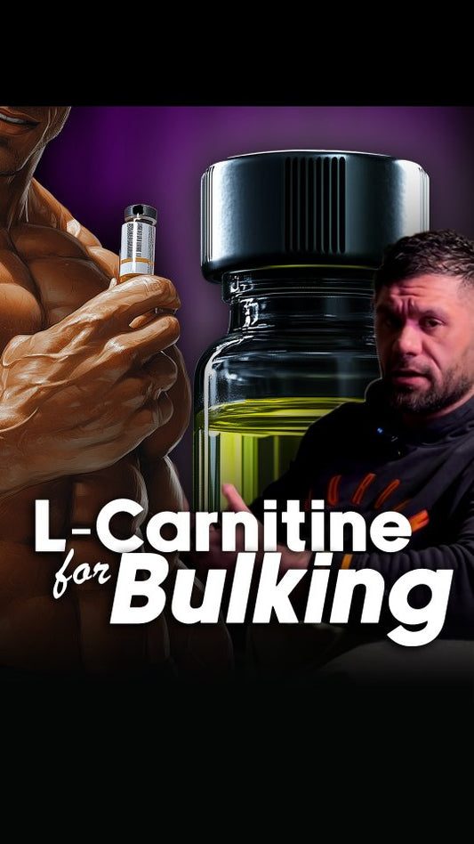 Use Injectable L-Carnitine for your bulking phase
